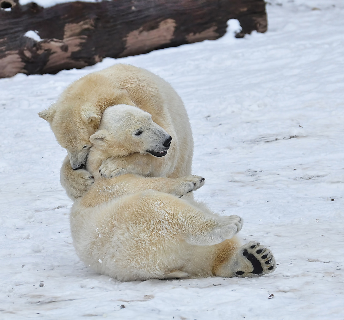 Herzen und Knuffeln.....