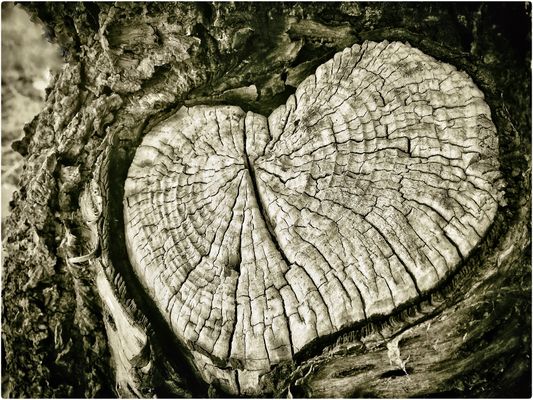 HERZENSANGELEGENHEIT…