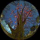 Herzerlbaum beim Christkindlmarkt vor dem Wiener Rathaus