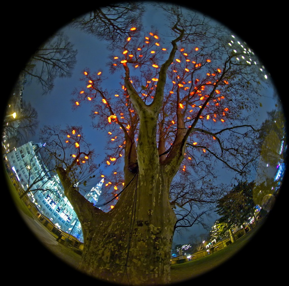 Herzerlbaum beim Christkindlmarkt vor dem Wiener Rathaus