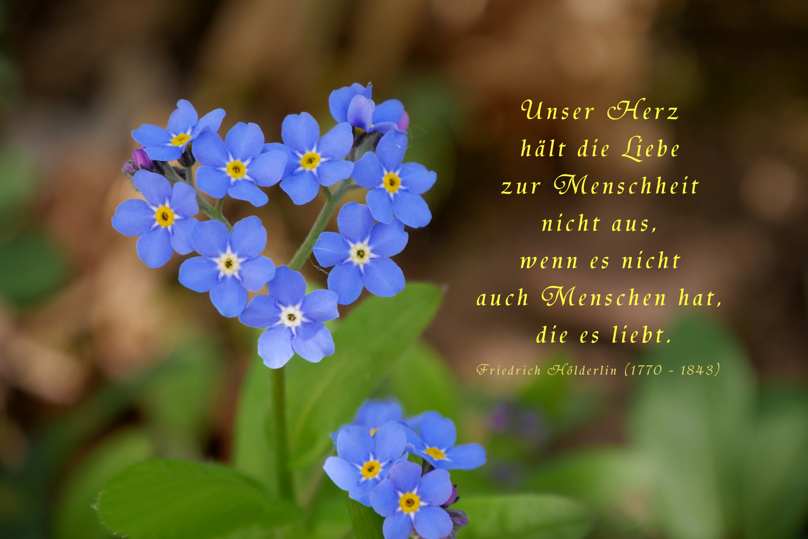 HERZLICH...