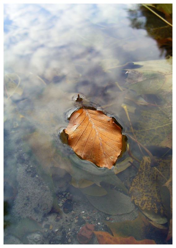 herzlich herbstlich