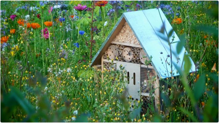 Herzlich Willkommen…