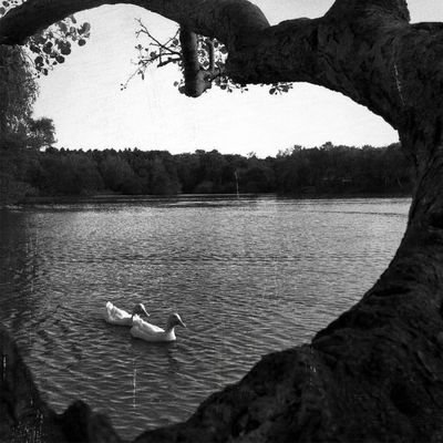 HERZlich Willkommen am Entenfang!