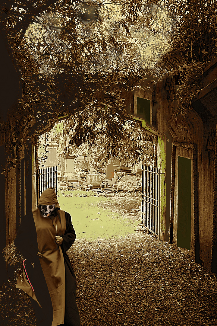 Herzlich Willkommen auf Highgate Cemetery London