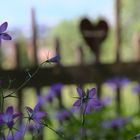 Herzlich Willkommen im Garten