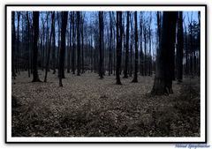 Herzlich Willkommen in Wald