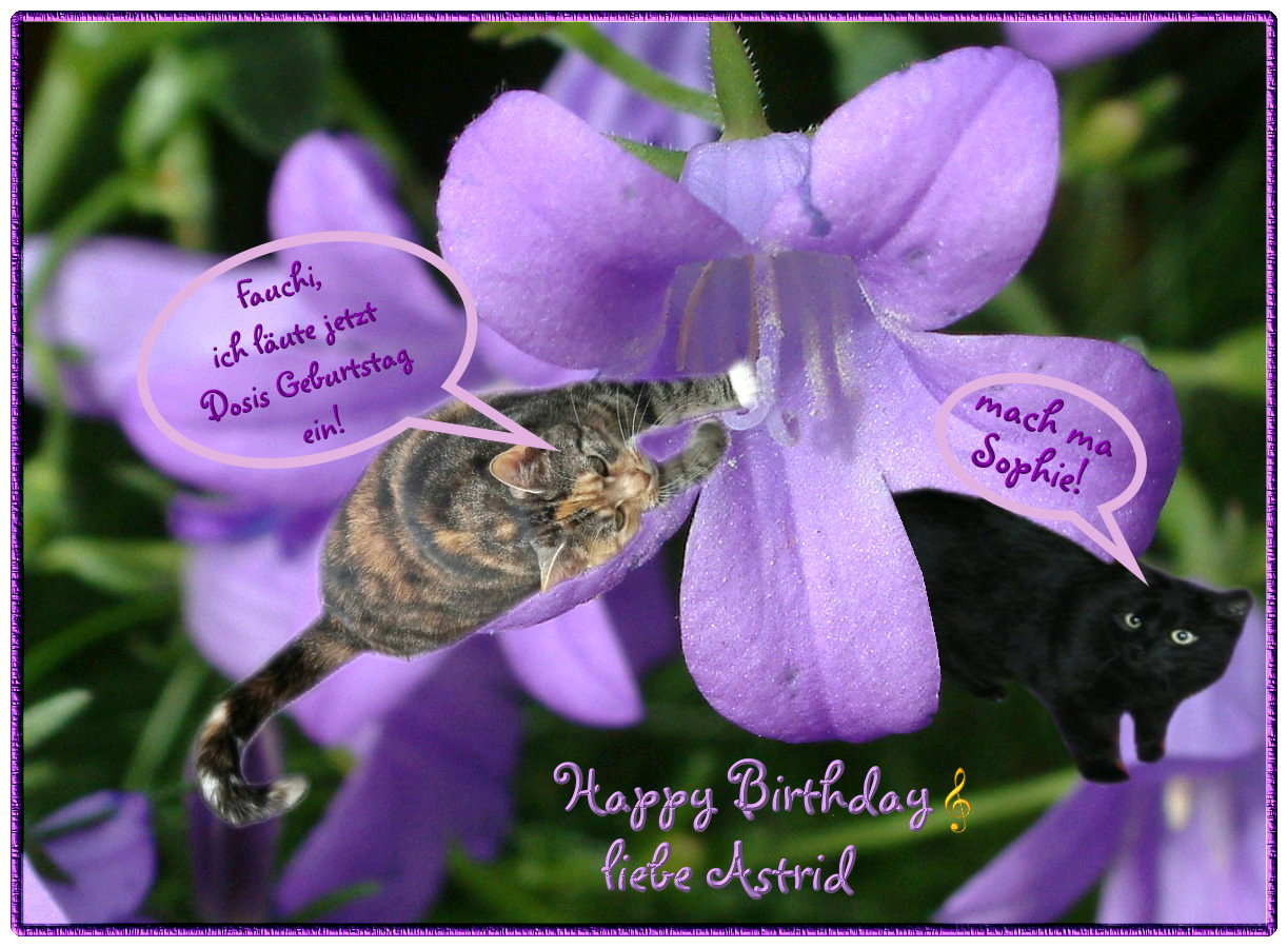 Herzliche Glückwünsche... Foto & Bild | gratulation und feiertage ... Herzliche Glückwünsche... Foto & Bild | gratulation und feiertage ...