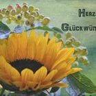 herzliche Glückwünsche