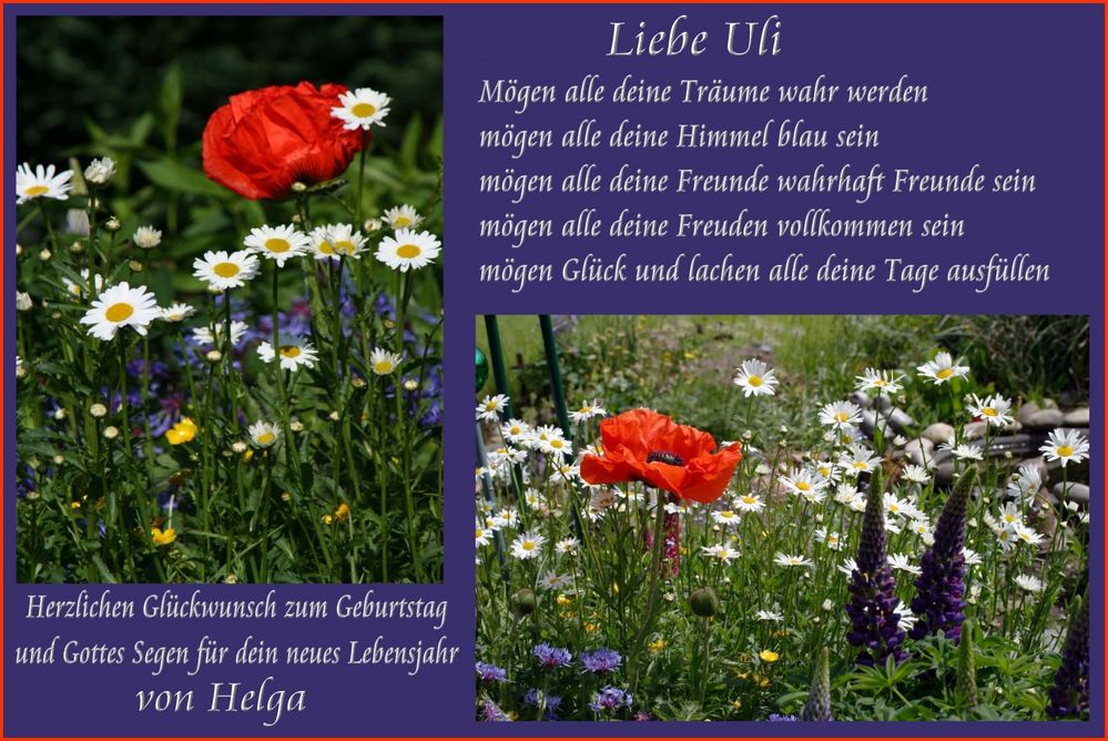 Herzliche Glückwünsche.... Foto & Bild | gratulation und ...