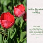 Herzliche Glückwünsche