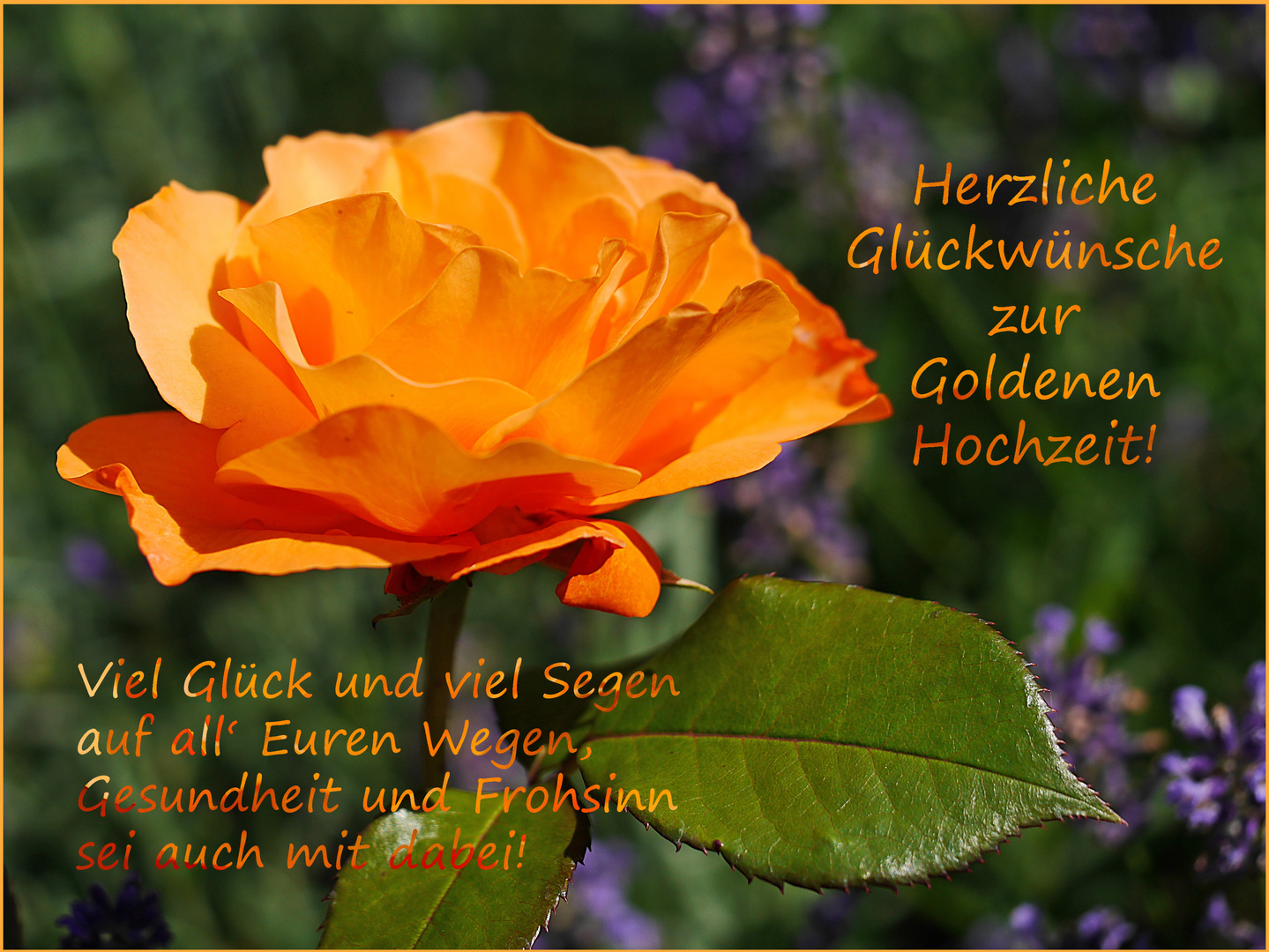Herzliche Glückwünsche zur Goldenen Hochzeit! Foto & Bild gratulation