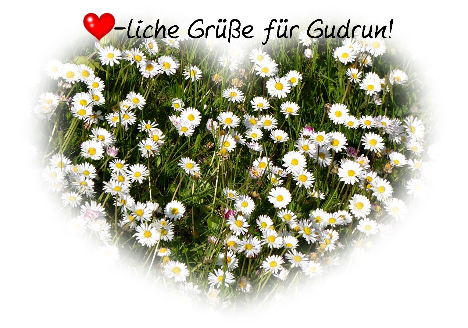 Herzliche Grüße! Foto & Bild dies und das Bilder auf