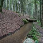 Herzliche Grüße aus dem Hotzenwald