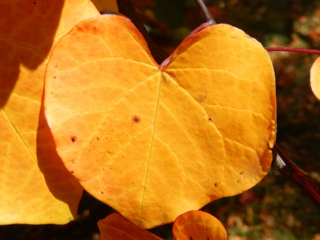 "Herzliche" Herbstgrüße