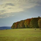 Herzliche Herbststimmung 2013