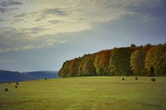 Herzliche Herbststimmung 2013