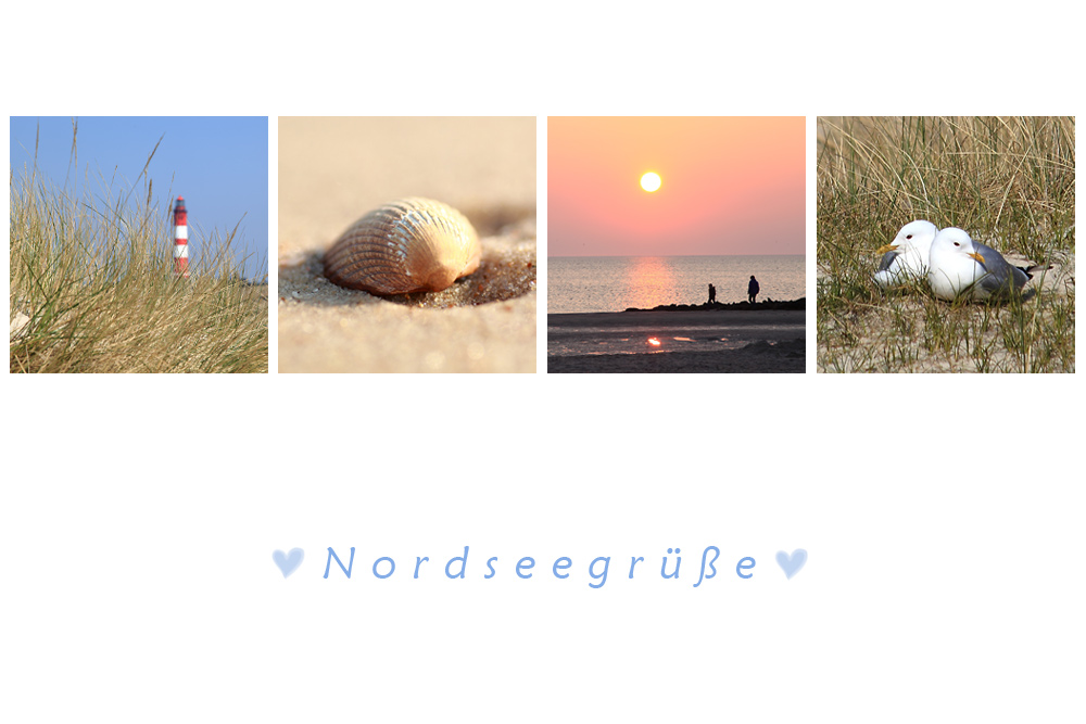 Herzliche Nordseegrüsse