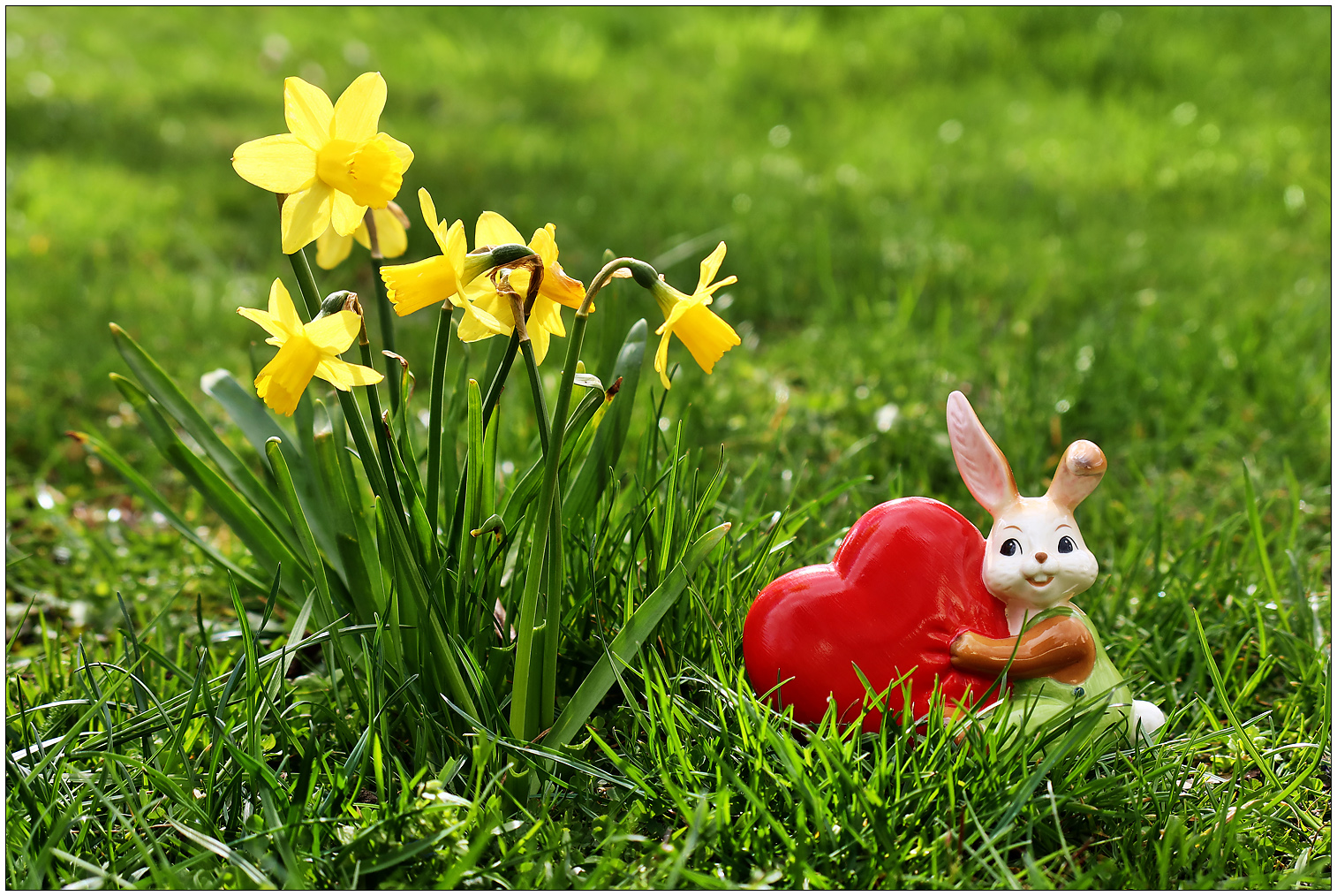 Herzliche Oster-Frühlings-Grüße...