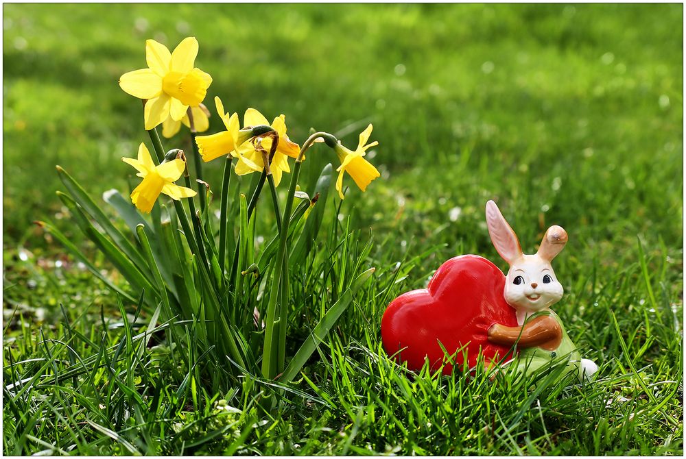 Herzliche Oster-Frühlings-Grüße...