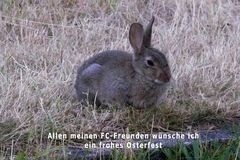 Herzliche Ostergrüße