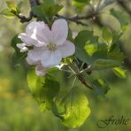 Herzliche Ostergrüsse