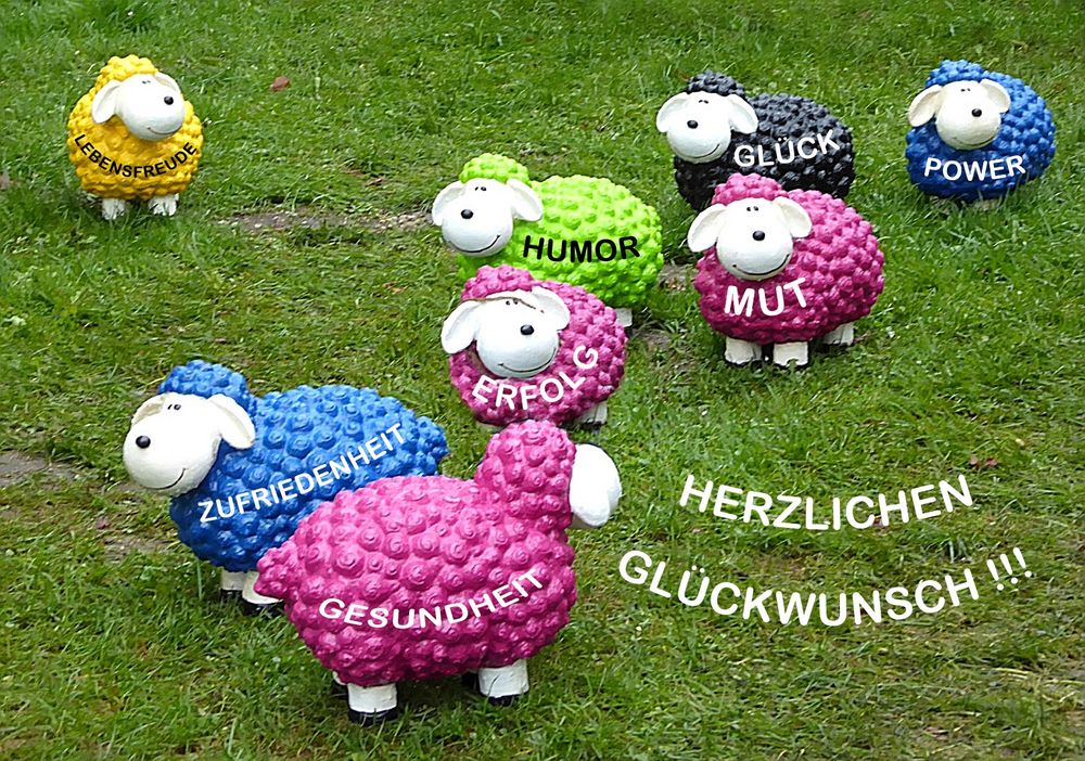 *Herzlichen Glückwunsch* Foto & Bild karten und kalender