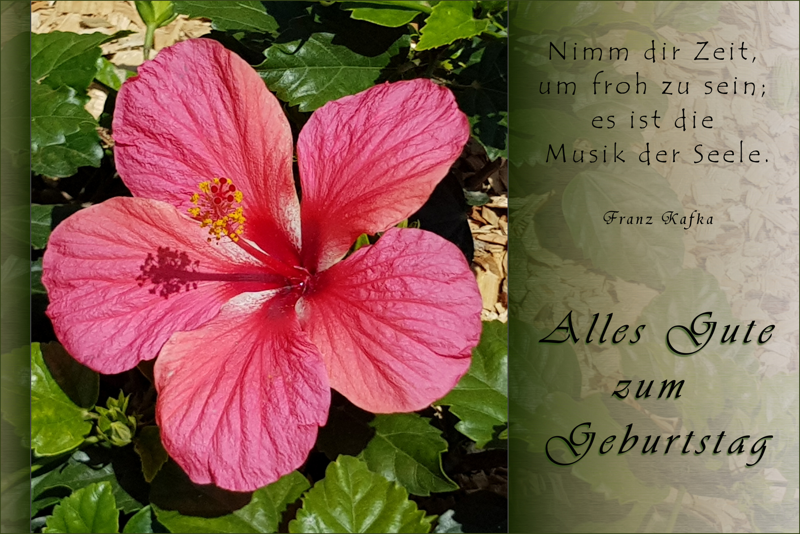 Herzlichen Glückwunsch... Foto & Bild birthday, spezial, happy Bilder