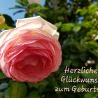 Herzlichen Glückwunsch...