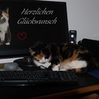 Herzlichen Glückwunsch.....