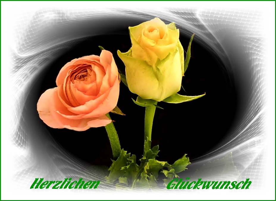 Herzlichen Glückwunsch . . . Foto &amp; Bild | gratulation und feiertage