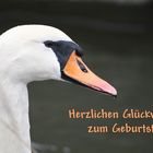 Herzlichen Glückwunsch für Helga N.