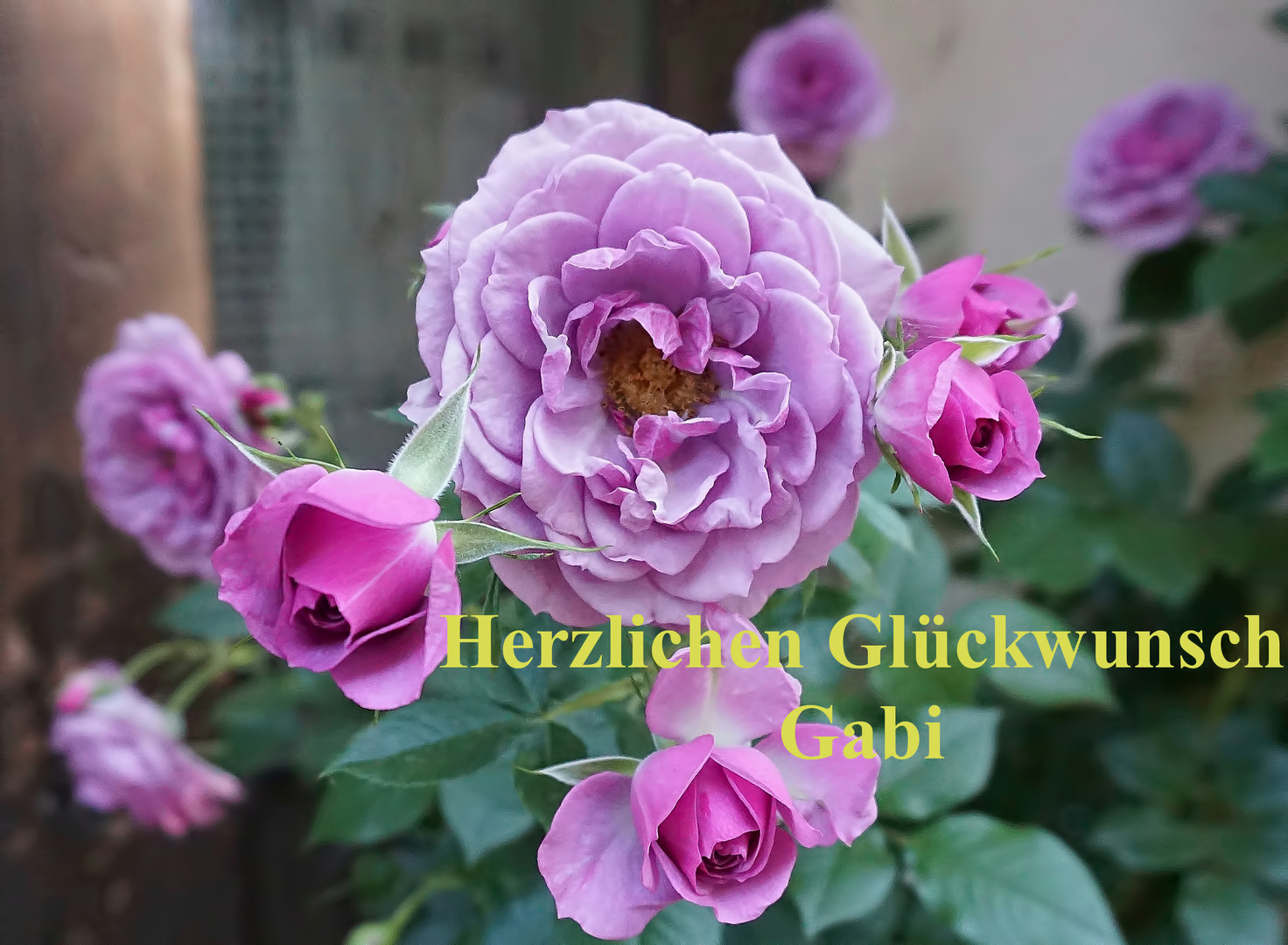 Herzlichen Glückwunsch Gabi 04