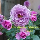 Herzlichen Glückwunsch Gabi 04