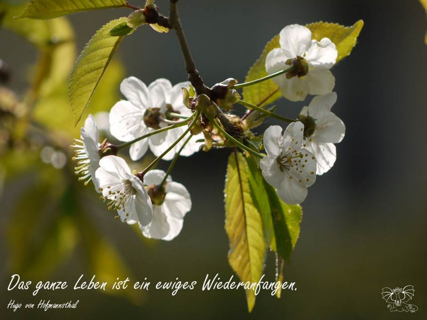 Herzlichen Glückwunsch Helga 