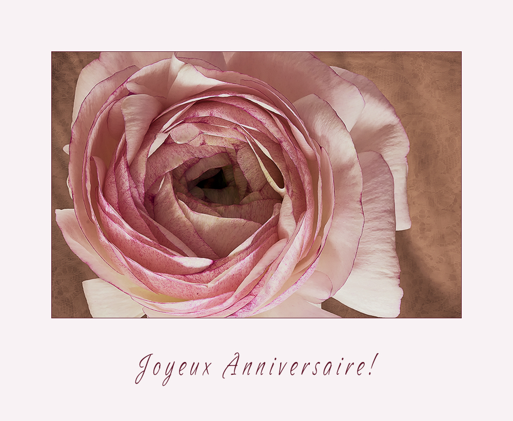 Herzlichen Glückwunsch - Joyeux anniversaire !