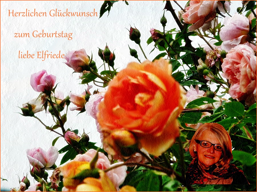 Herzlichen Glückwunsch liebe Elfriede