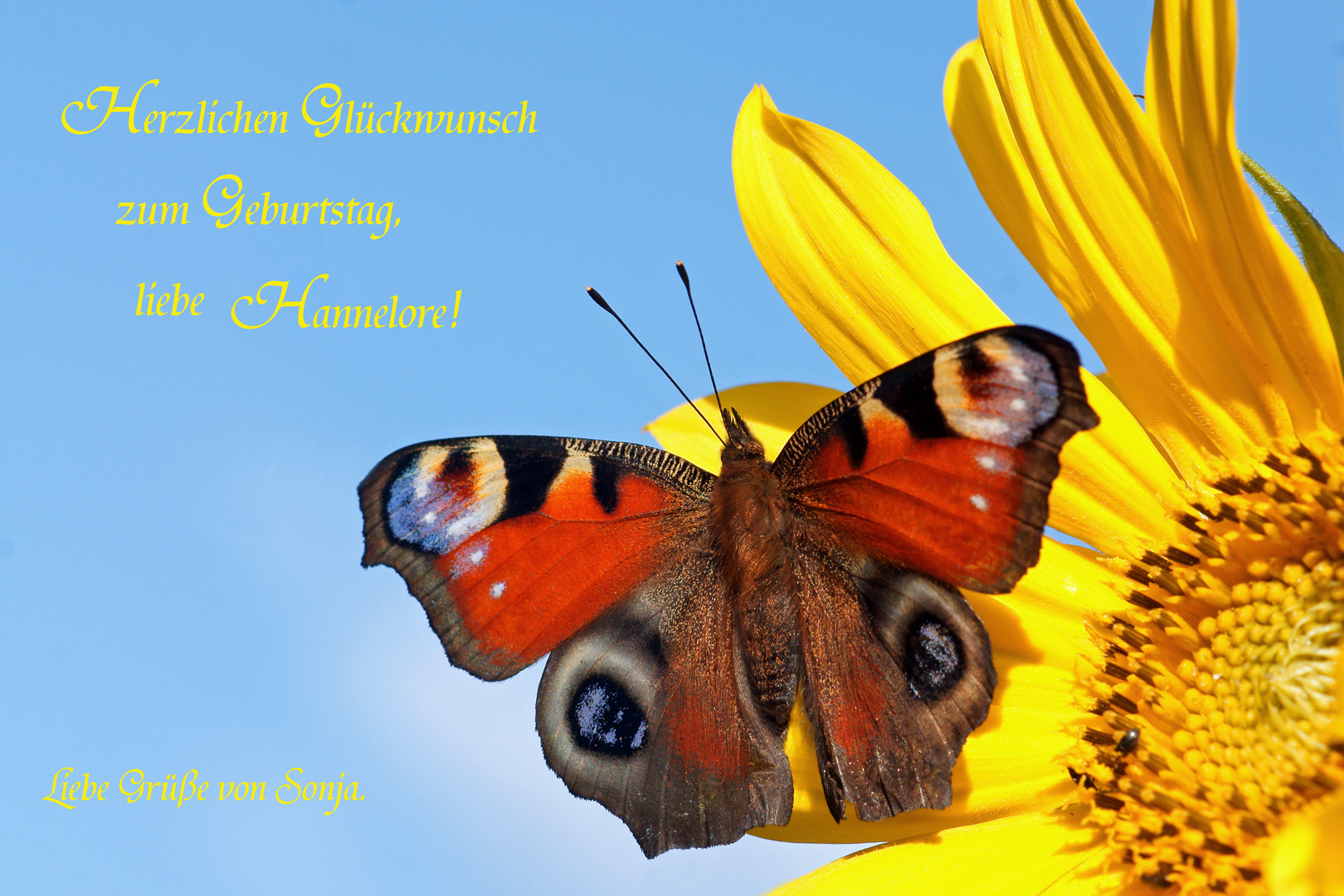 Alles Gute Zum Geburtstag Wunschen Auf Englisch Bita Hesbani