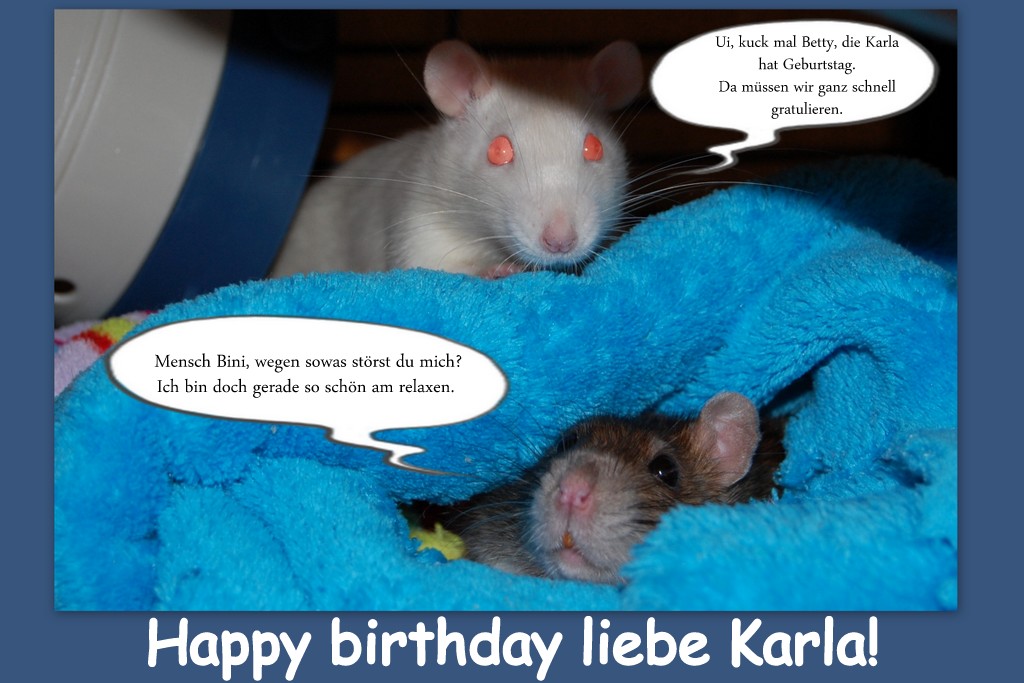 Herzlichen Glückwunsch liebe Karla!