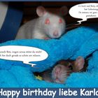 Herzlichen Glückwunsch liebe Karla!