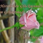 Herzlichen Glückwunsch liebe Maria