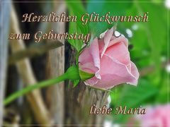 Herzlichen Glückwunsch liebe Maria