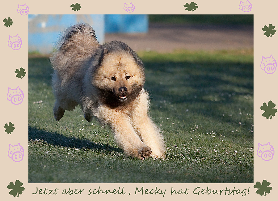 Herzlichen Glückwunsch, liebe Mecky!