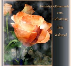 Herzlichen Glückwunsch liebe Waltraud