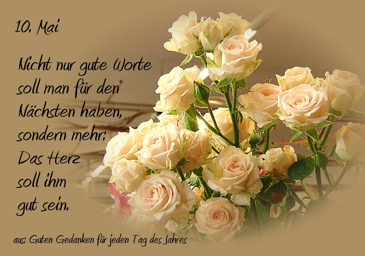 Glückwünsche Zum Geburtstag Schwiegertochter Geschenke Für Frauen
