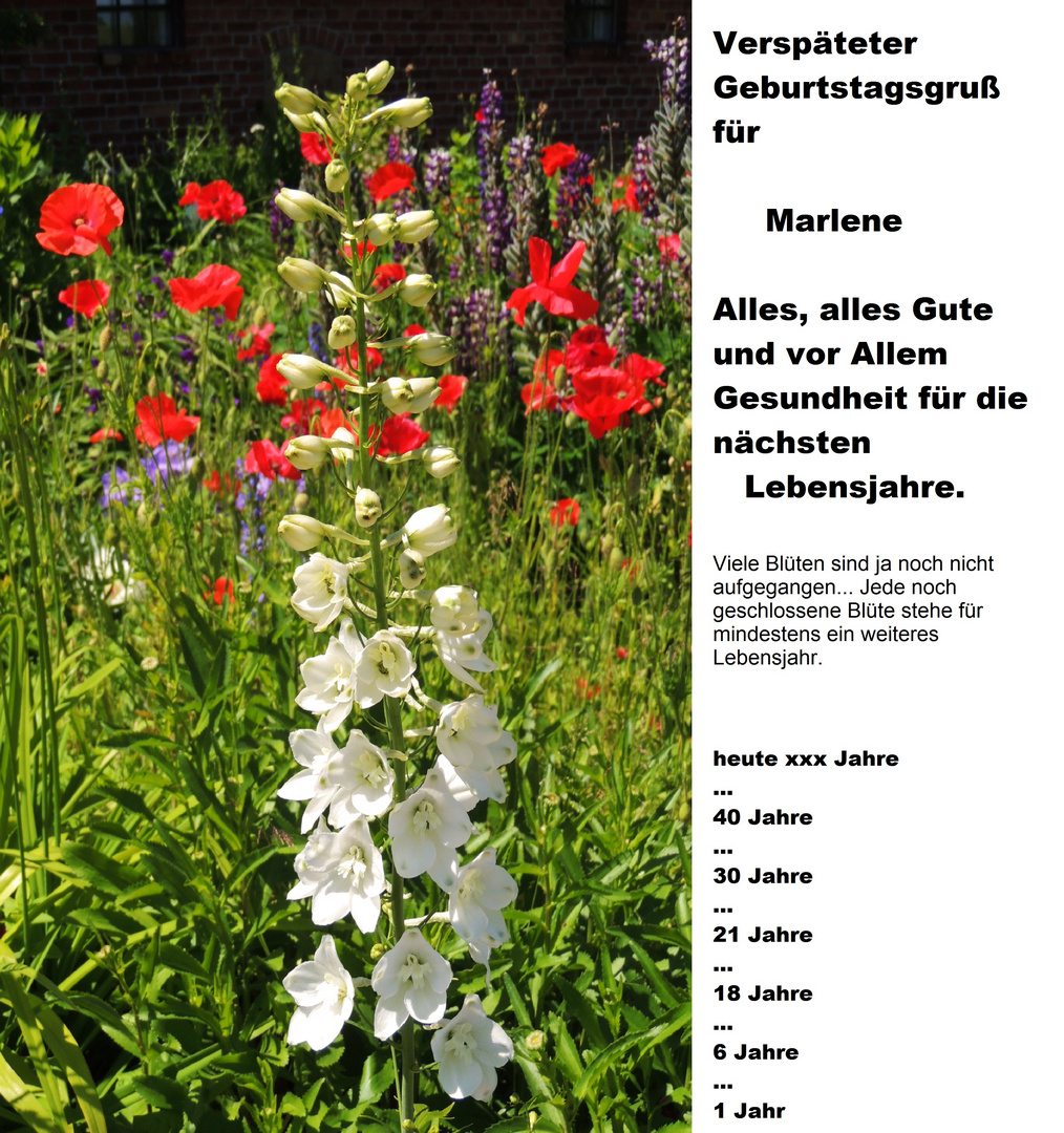 Herzlichen Gluckwunsch Zum Geburtstag Liebe Elke Foto Bild