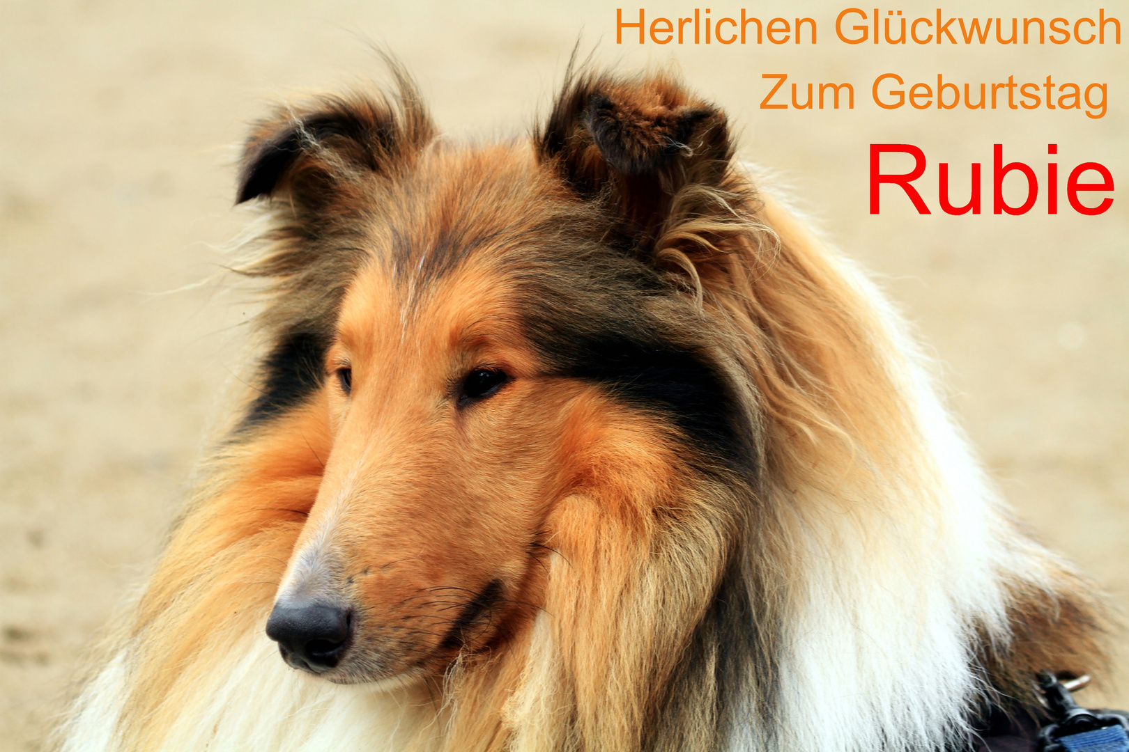  Herzlichen Glückwunsch Rubie