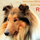  Herzlichen Glückwunsch Rubie