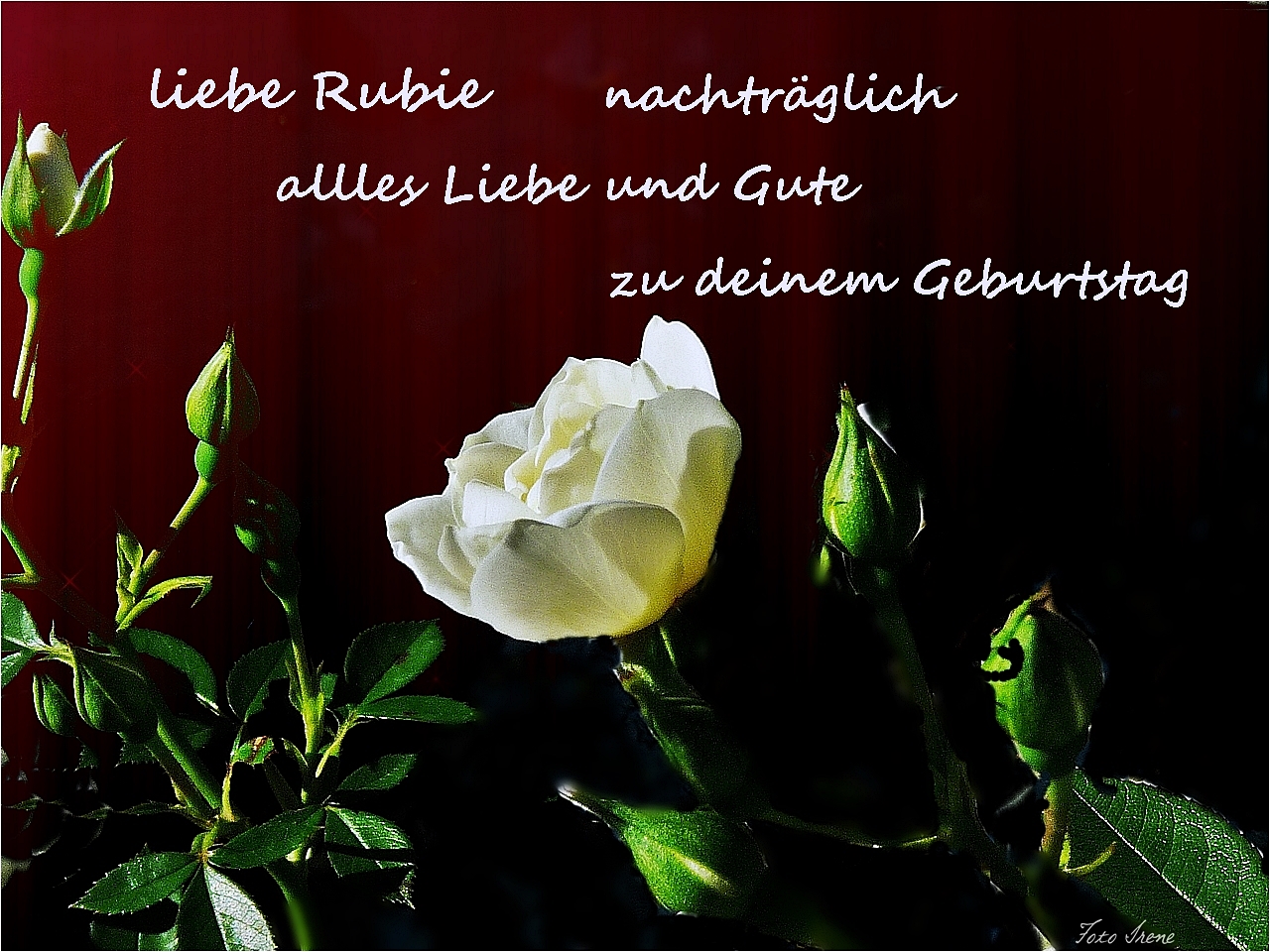  Herzlichen Glückwunsch... Rubie  [fc-user:1906742]