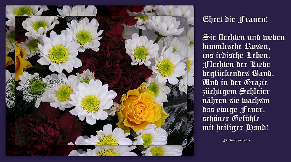 Herzlichen Glückwunsch zu Euren Ehrentag, liebe Frauen Foto & Bild